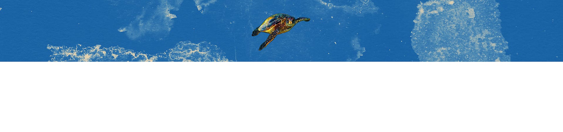 Karettschildkröte auf blauem Hintergründ
