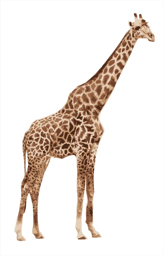 Vektorillustration Giraffe